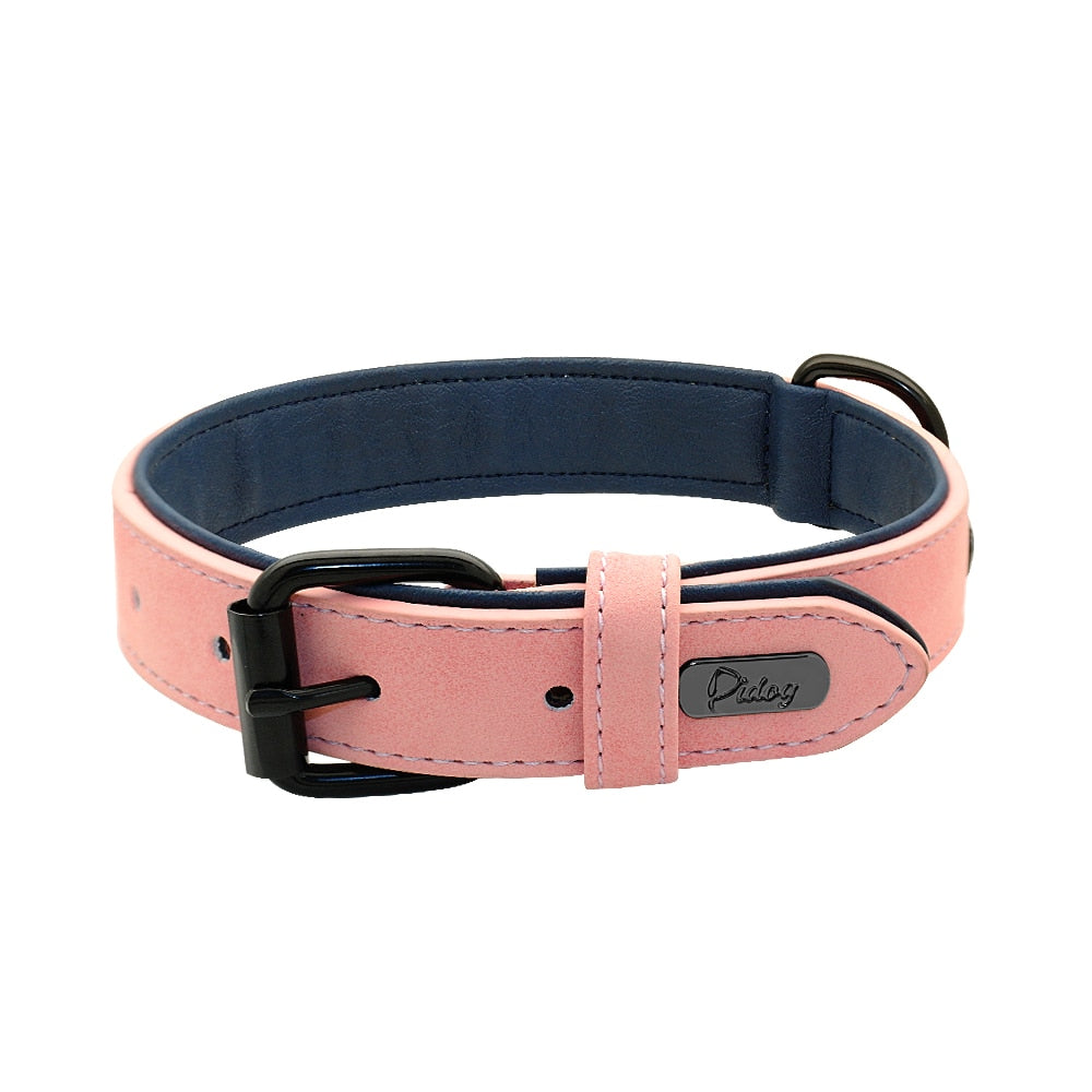 Best custom outlet dog collars